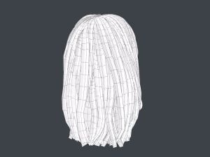 Female Hair Cards Style 3 - Long Hair 1 3D Model