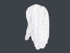 Female Hair Cards Style 3 - Long Hair 1 3D Model