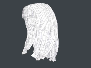 Female Hair Cards Style 3 - Long Hair 1 3D Model