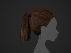 Female Hair Cards Style 4 - Ponytail Model 3D