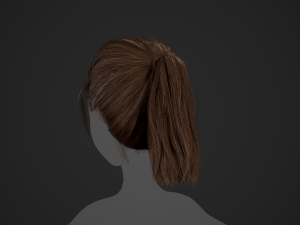 Female Hair Cards Style 4 - Ponytail Model 3D