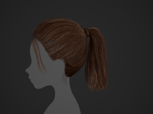 Female Hair Cards Style 4 - Ponytail Model 3D