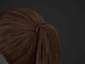 Female Hair Cards Style 4 - Ponytail Model 3D