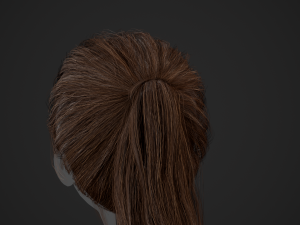 Female Hair Cards Style 4 - Ponytail Model 3D