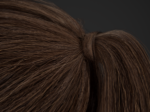 Female Hair Cards Style 4 - Ponytail Model 3D