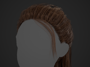 Female Hair Cards Style 4 - Ponytail Model 3D
