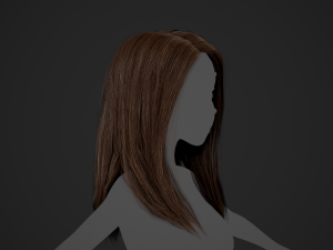 Female Hair Cards Style 5 - Long Hair 2 Modèle 3D