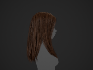 Female Hair Cards Style 5 - Long Hair 2 Modèle 3D