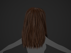 Female Hair Cards Style 5 - Long Hair 2 Modèle 3D