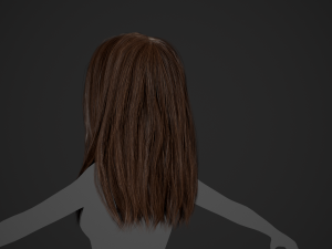 Female Hair Cards Style 5 - Long Hair 2 Modèle 3D