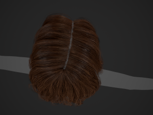 Female Hair Cards Style 5 - Long Hair 2 Modèle 3D