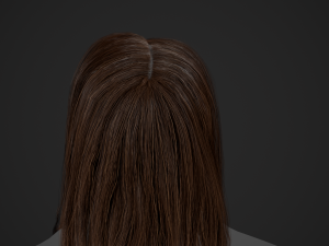 Female Hair Cards Style 5 - Long Hair 2 Modèle 3D