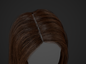 Female Hair Cards Style 5 - Long Hair 2 Modèle 3D