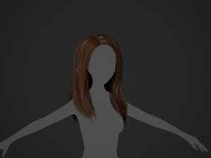 Female Hair Cards Style 5 - Long Hair 2 Modèle 3D