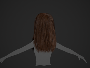 Female Hair Cards Style 5 - Long Hair 2 Modèle 3D