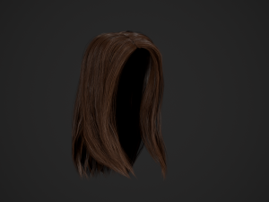 Female Hair Cards Style 5 - Long Hair 2 Modèle 3D