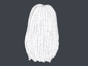 Female Hair Cards Style 5 - Long Hair 2 Modèle 3D