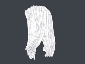 Female Hair Cards Style 5 - Long Hair 2 Modèle 3D