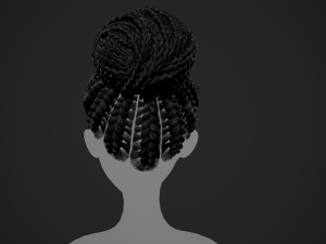 Female Hair Cards Style 6 - Braids Bun 3D 模型