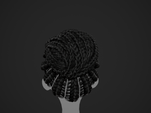 Female Hair Cards Style 6 - Braids Bun 3D 模型