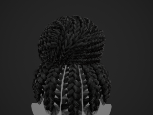 Female Hair Cards Style 6 - Braids Bun 3D 模型