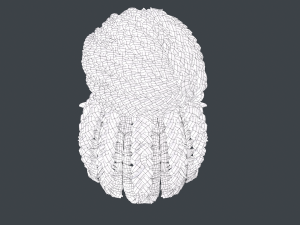 Female Hair Cards Style 6 - Braids Bun 3D 模型