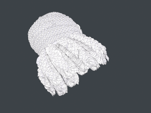 Female Hair Cards Style 6 - Braids Bun 3D 模型