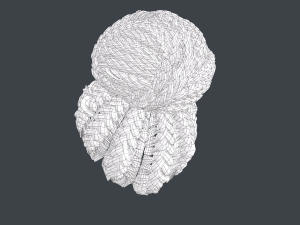 Female Hair Cards Style 6 - Braids Bun 3D 模型