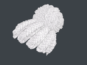Female Hair Cards Style 6 - Braids Bun 3D 模型