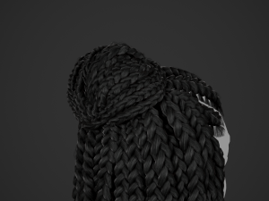 Female Hair Cards Style 7 - Braids And Knot 3D 模型