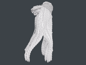 Female Hair Cards Style 7 - Braids And Knot 3D 模型