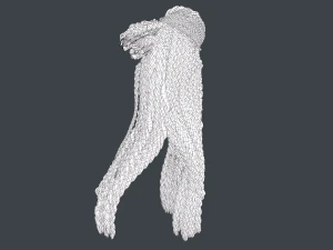 Female Hair Cards Style 7 - Braids And Knot 3D Model
