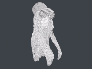 Female Hair Cards Style 8 - Braids And Knot 2 Modello 3D