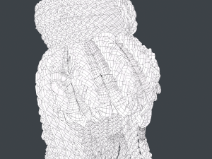 Female Hair Cards Style 8 - Braids And Knot 2 Modello 3D