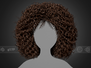 Female Hair Cards Style 9 - Wild Loose 3D Model