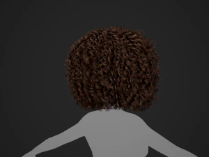 Female Hair Cards Style 9 - Wild Loose 3D Model