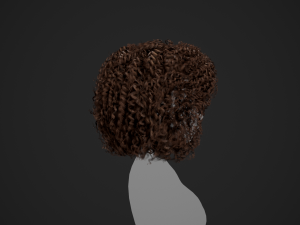 Female Hair Cards Style 9 - Wild Loose 3D Model