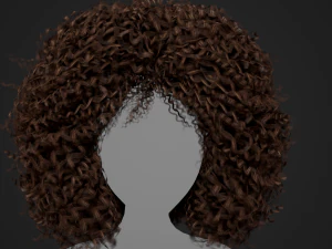 Female Hair Cards Style 9 - Wild Loose 3D Model