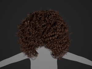 Female Hair Cards Style 9 - Wild Loose 3D Model