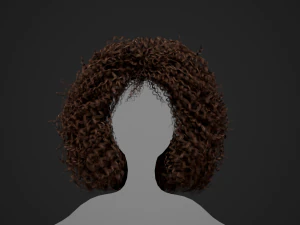 Female Hair Cards Style 9 - Wild Loose 3D Model