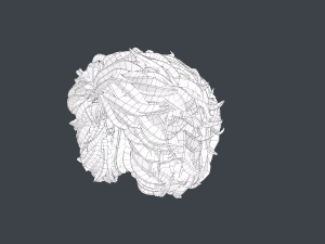 Female Hair Cards Style 9 - Wild Loose 3D Model