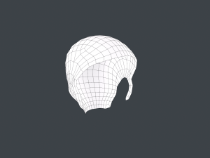 Female Hair Cards Style 9 - Wild Loose 3D Model