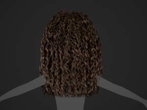 Female Hair Cards Style 10 - Long Curly Modelo 3D