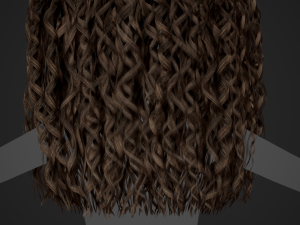 Female Hair Cards Style 10 - Long Curly Modelo 3D