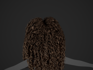 Female Hair Cards Style 10 - Long Curly Modelo 3D