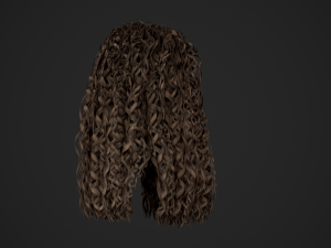 Female Hair Cards Style 10 - Long Curly Modelo 3D