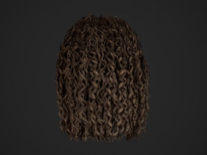Female Hair Cards Style 10 - Long Curly Modelo 3D