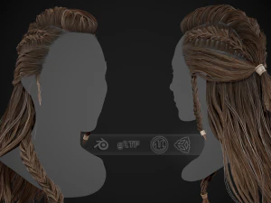 Damenhaarkarten Stil 1 &ndash; Wikingerhaar 3D Modell