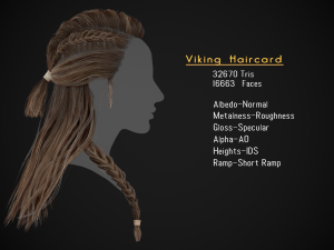 Female Hair Cards Style 1 - Viking Hair Model 3D