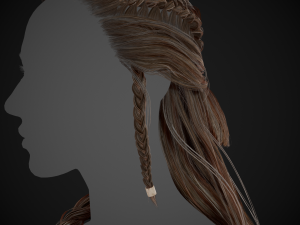 Female Hair Cards Style 1 - Viking Hair Model 3D
